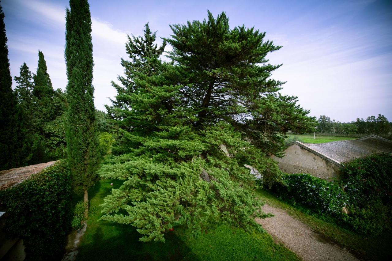 Masseria Perronello Country House Castellaneta Marina Exterior photo